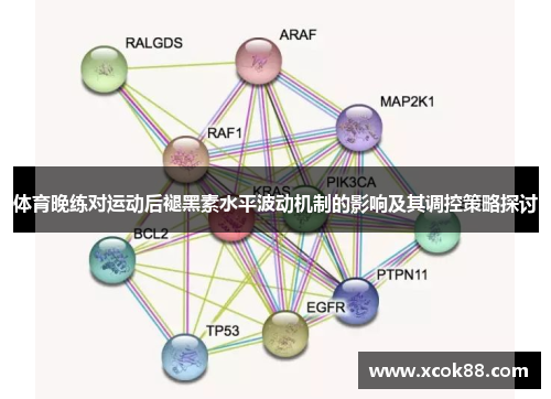 体育晚练对运动后褪黑素水平波动机制的影响及其调控策略探讨